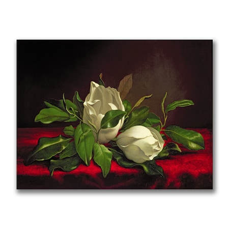 Martin Heade 'Magnolia' Canvas Art,18x24